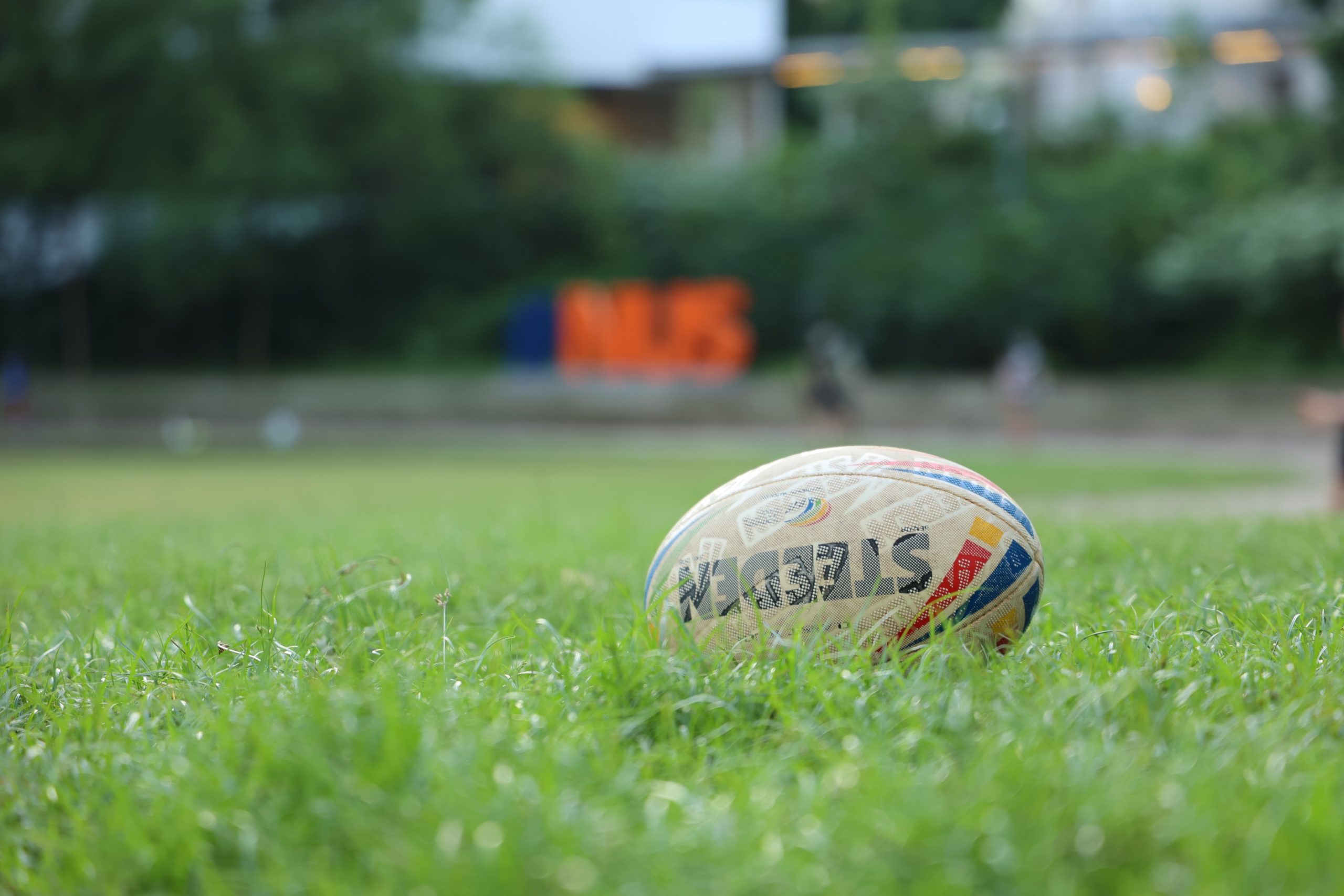 rugby ball in the grass